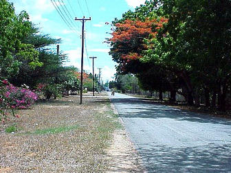 View along Bofa Beach Road