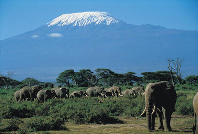 Amboseli National Park near Mount Kilimanjaro