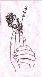 hands holding lavender