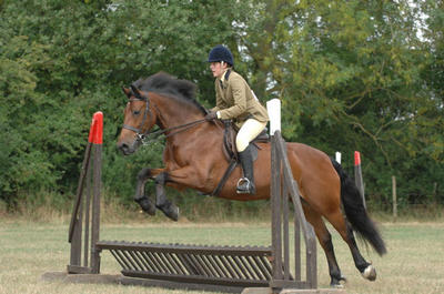 Rebecca Mudd and Brougthon MacMillan - Working Hunter Pony