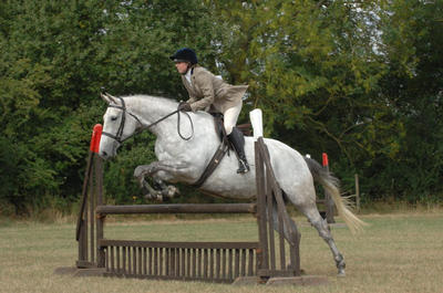 Maddy Uren and Arctic Endeavour - Working Hunter Horse