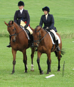 Pairs Dressage