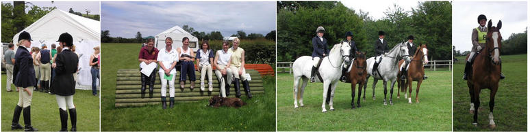 Horse Trial teams
