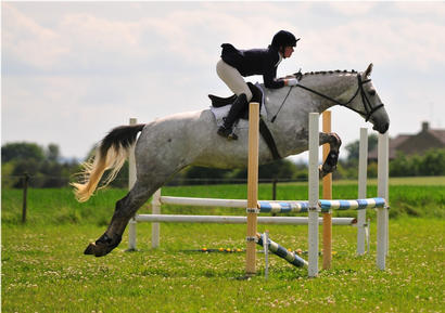 Maddy Uren & Arctic Endeavour @ Members SJ. Courtesy of Rural Snaps