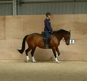 Flatwork training