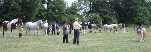 Open Show 2005