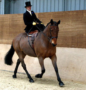 Side saddle