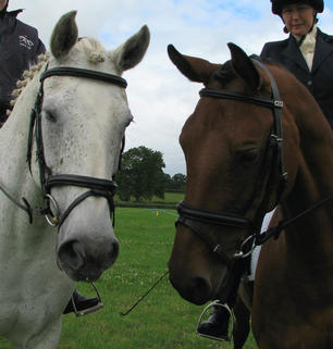 Midge & Lucy