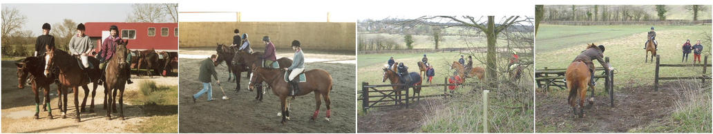 Polo & Le Trec