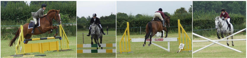 Show jumping