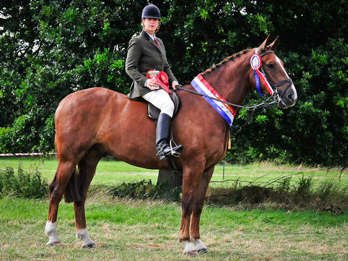 Best in show showing champion - Kate Walsh - Cruise