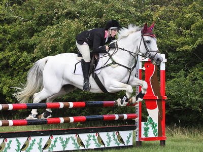 Melaney Baker - Skye Blue - 3'3 Jumping