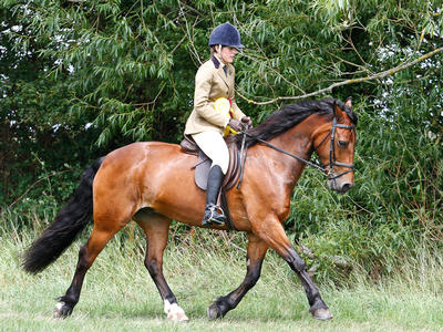 Sarah and Dillon - Veteran