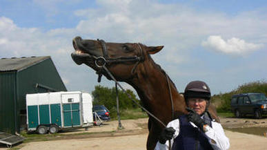 Pam and Cari after their Walk and Trot Test!