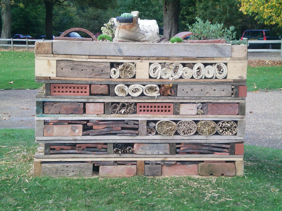 Eco Bug Resort using old pallets, bricks, tiles, succulent plants