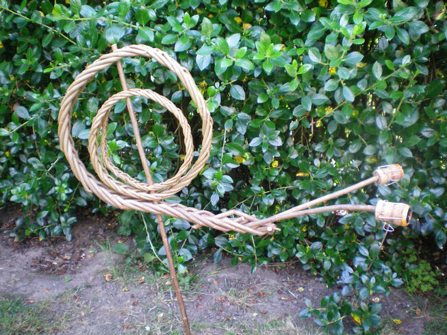 Willow snail