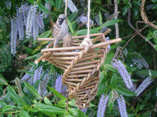 Willow Bird Feeder