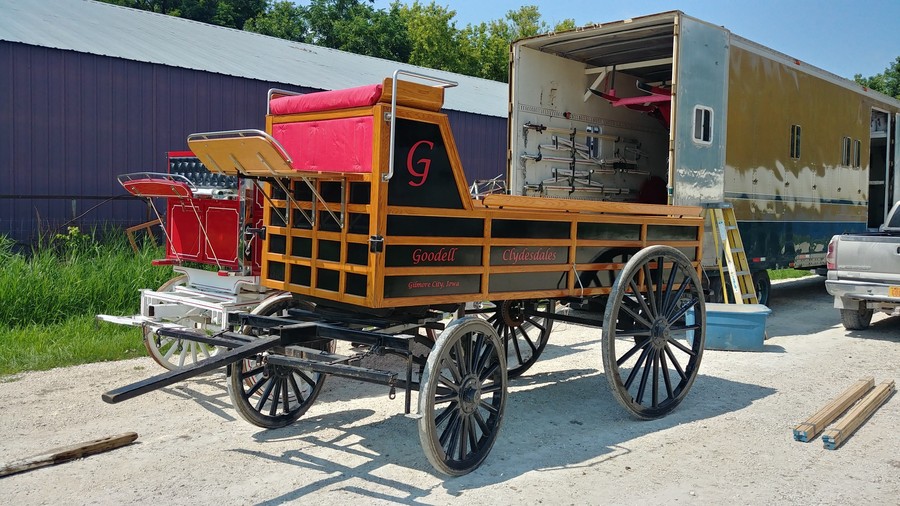 Clydesdales For Sale