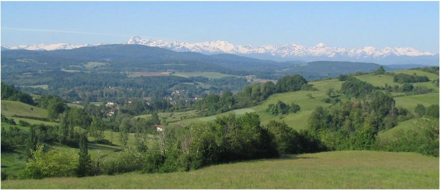 La vue sur les Pyrénées depuis toutes les maisons, la piscine et le jardin au printemps