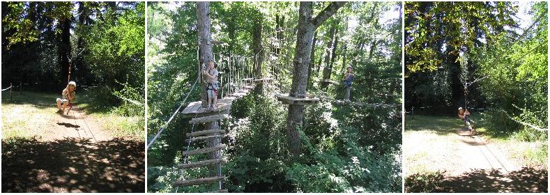 Treetop Adventure Park at Sequoia Vertigo