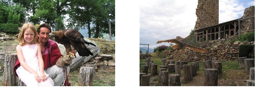 Les Aigles du Château de Lordat
