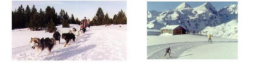 Dog Sledging and Cross Country Skiing at Plateau de Beille