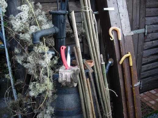 Shanks and Steam Box