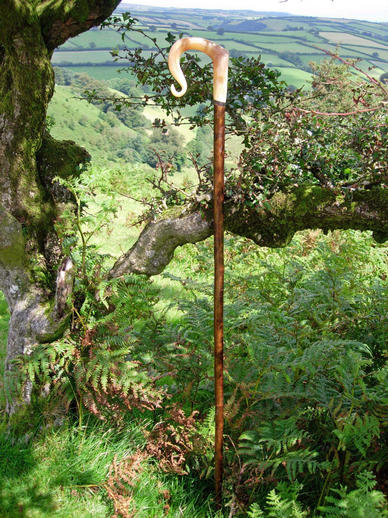 Exmoor