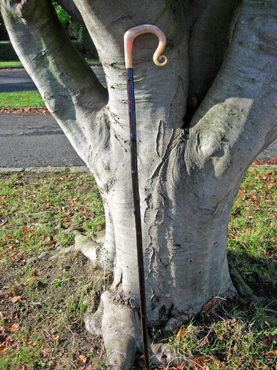 Ram's Horn Crook