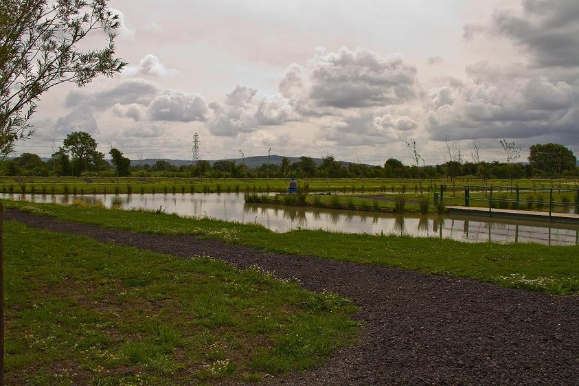 The Paddocks Match Pond