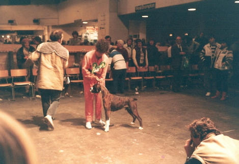 Dressed To Kill-Crufts '86 BOB