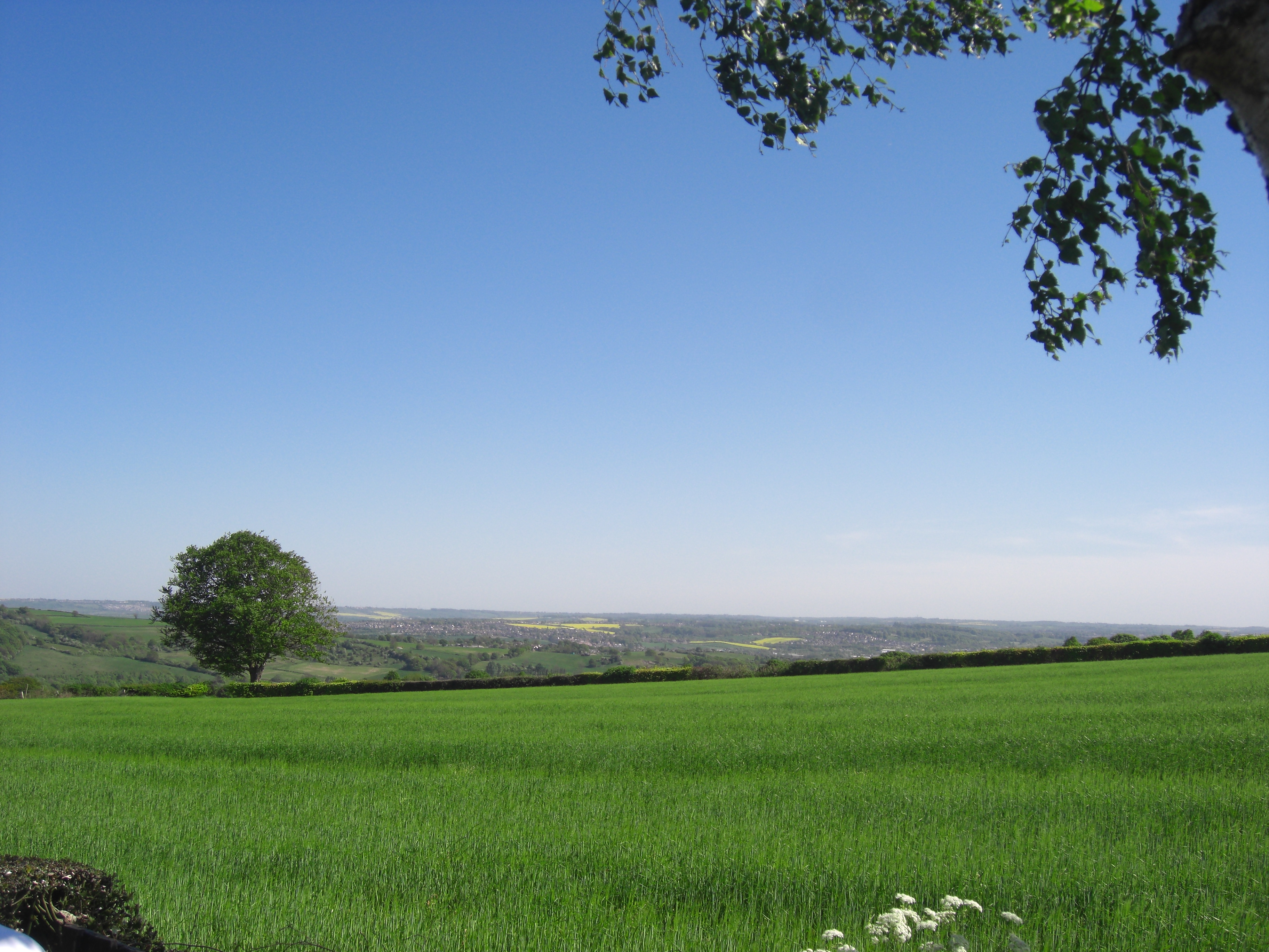 the view from reflexology in dronfield