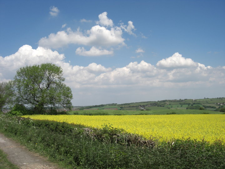 field to show relaxation at Reflexology in Chesterfield