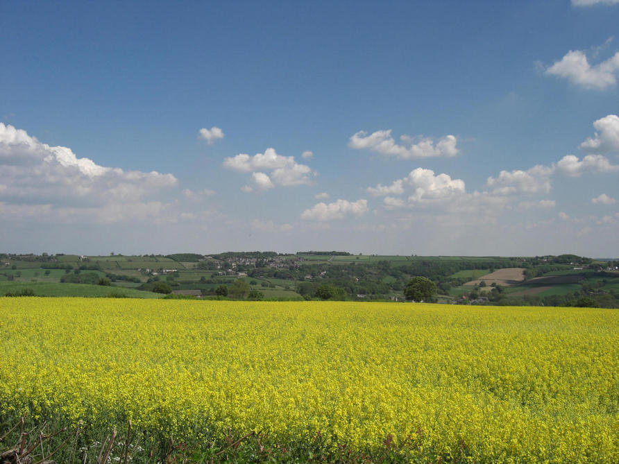 field to show relaxation at Reflexology in Sheffield