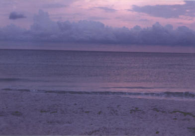 Beach at dawn