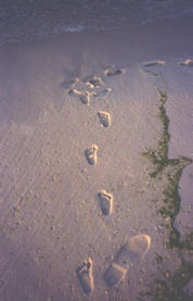 footprints in sand