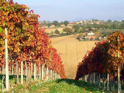 BEAUTIFUL ITALY