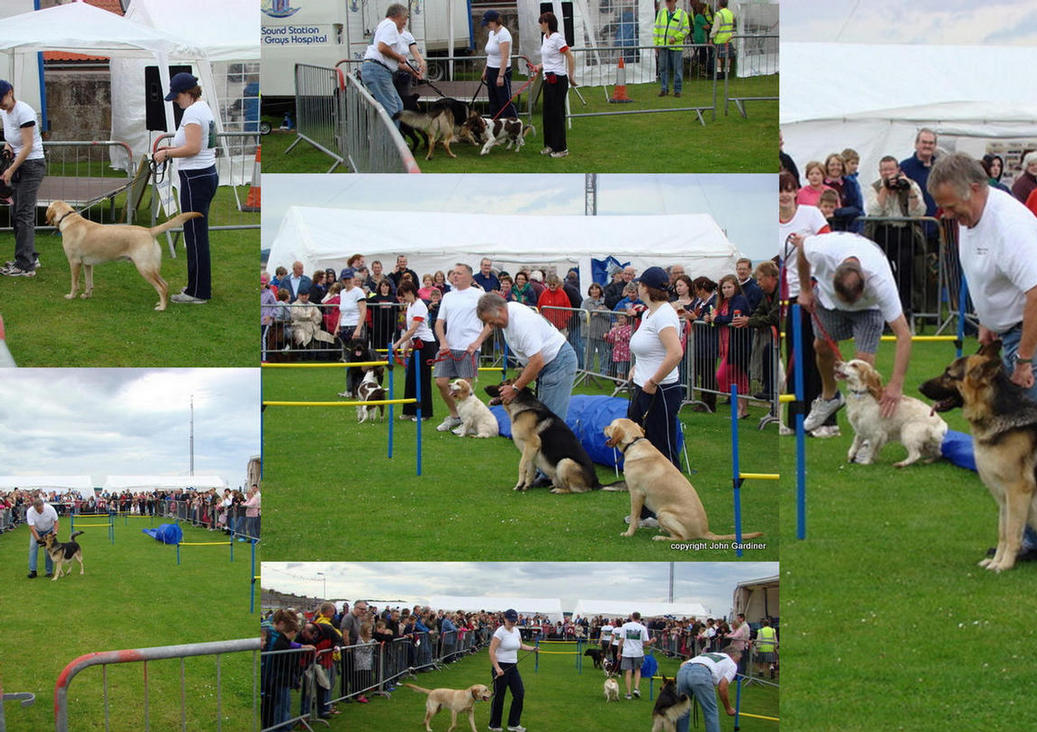 For the first time we had a dog display and it was a resounding success