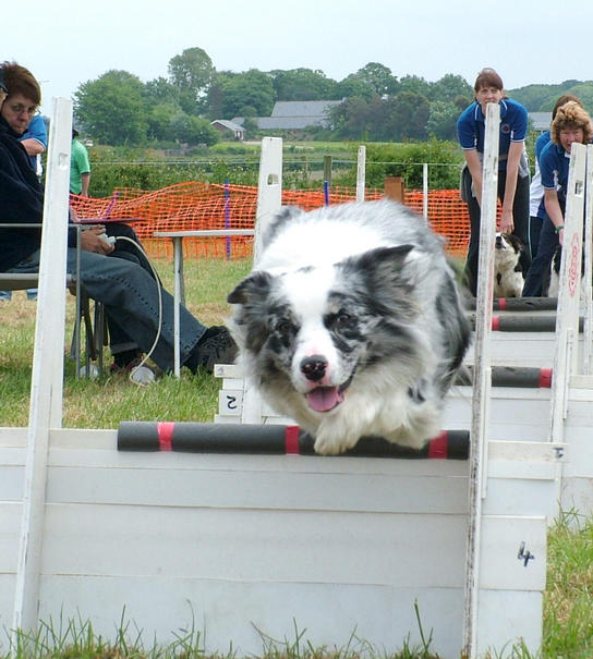 penny farm 2008
