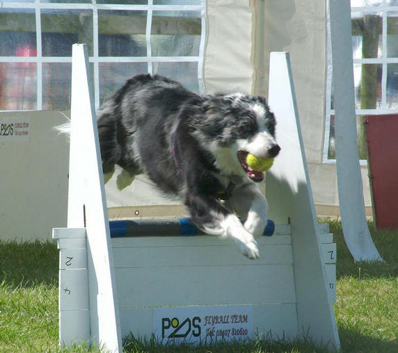 anglesey 2008