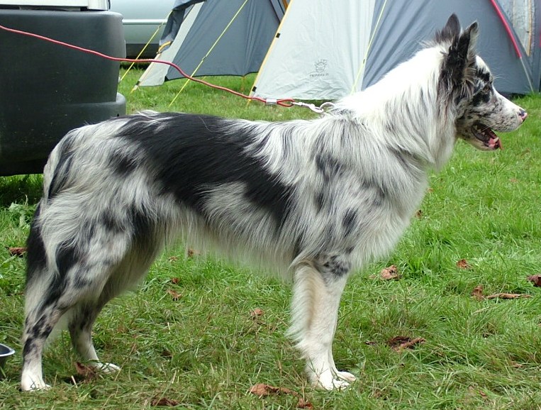 9 months old