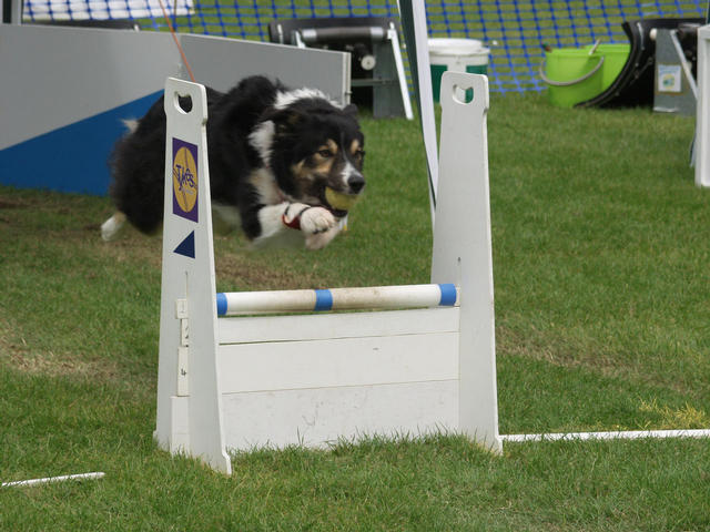 Jack on his way back from the box