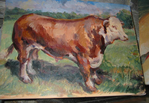 bull