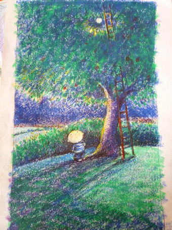 boy looking up into a tree