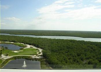 View from accommodation
