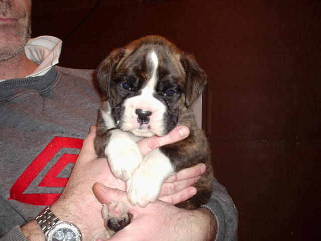 Eddie @ 5 weeks