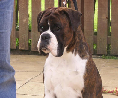 Murphy , living sown south as a spoiled rotten mummy boys