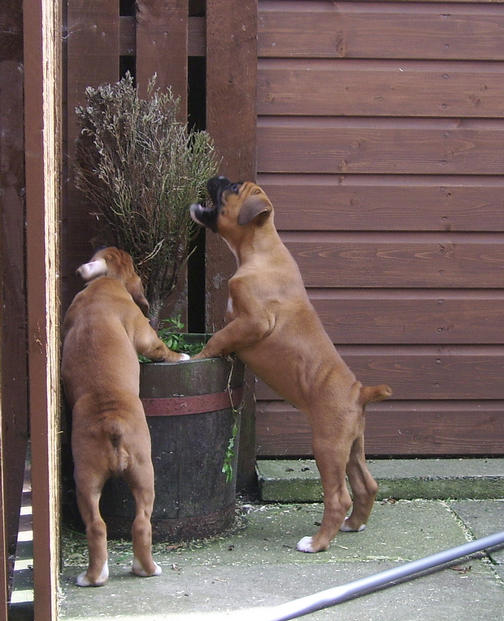 Rosie & meg