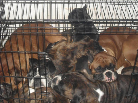 Room for  1 more ???!!!