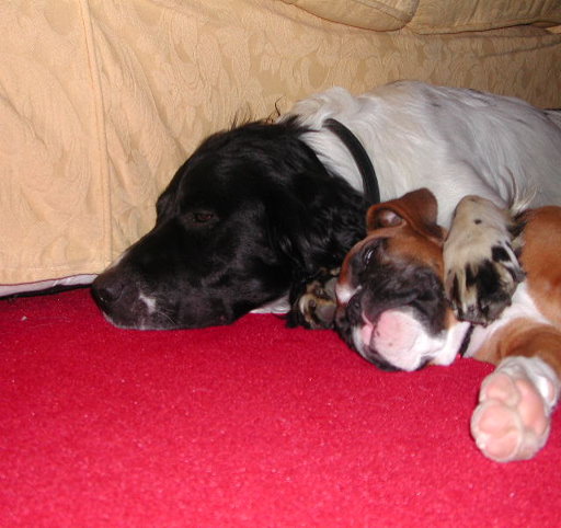 scarlett and Housemate
